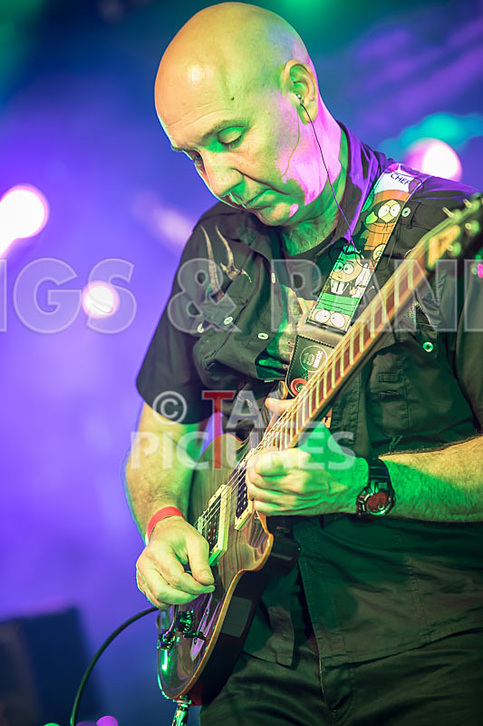 Frail Sincerity-24 - FRAIL SINCERITY