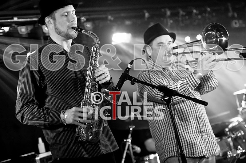 The Risk-203 - THE RISK