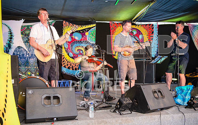 Seigneur Hedge Veg-13 - SEIGNEUR HEDGE VEG