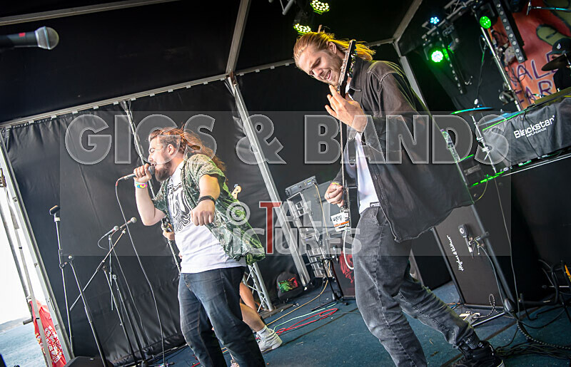 The Dust-15 - THE DUST