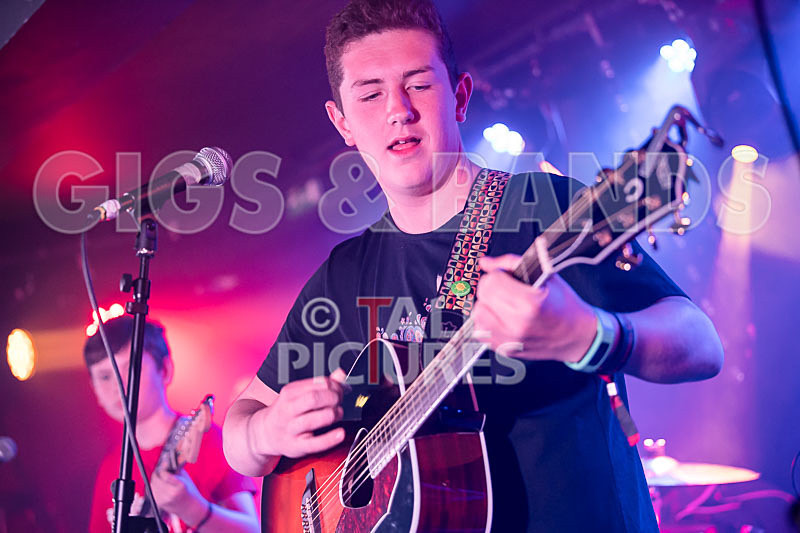 Purple Paradox-24 - PURPLE PARADOX