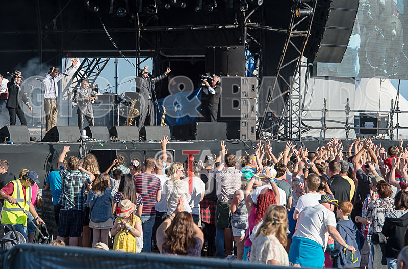 The Selecter-51 - THE SELECTER