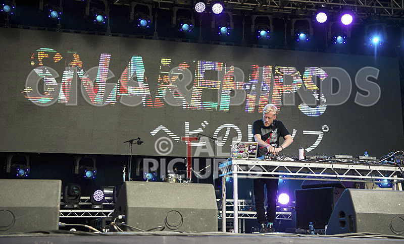 Snakehips-19 - SNAKEHIPS