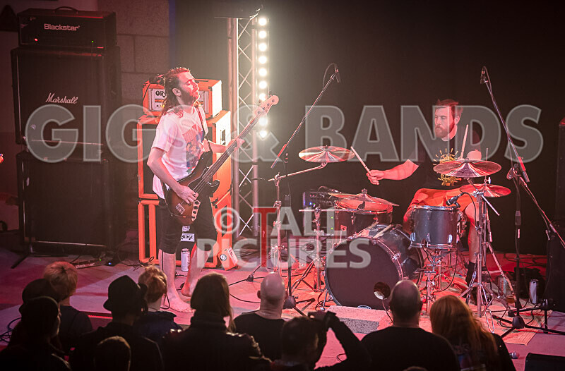 Pigsx7-80 - PIGS PIGS PIGS PIGS PIGS PIGS PIGS