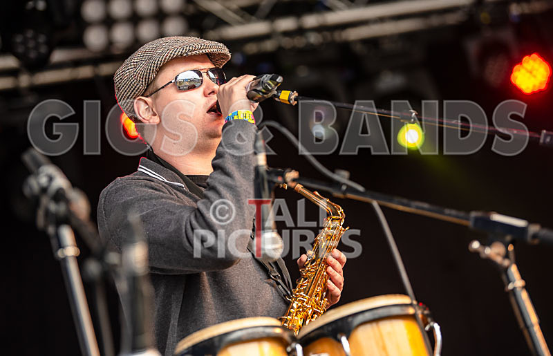 RentOClean-291 - RENTOCLEAN