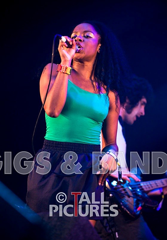 Go Team-7 - THE GO! TEAM