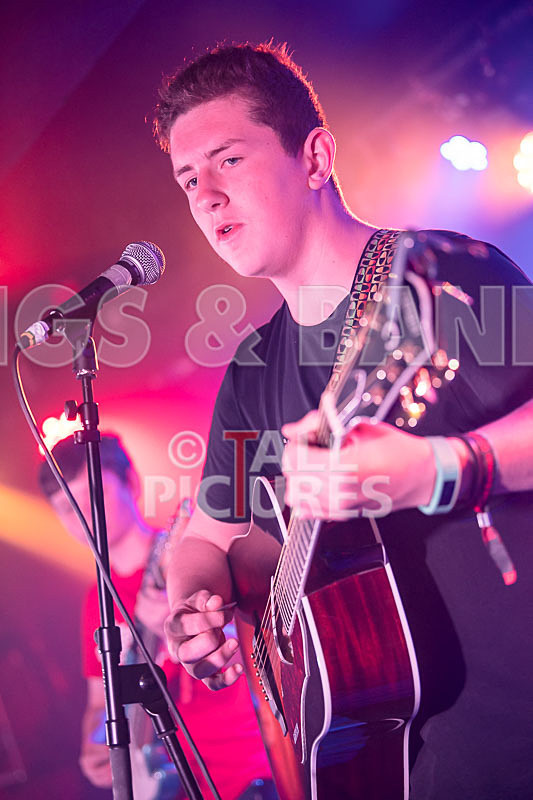 Purple Paradox-12 - PURPLE PARADOX