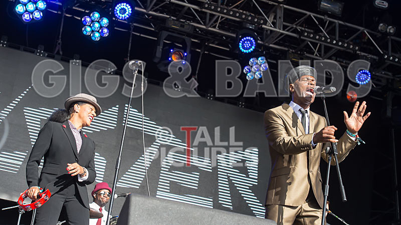 The Selecter-45 - THE SELECTER