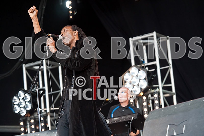 The Beat-36 - THE BEAT