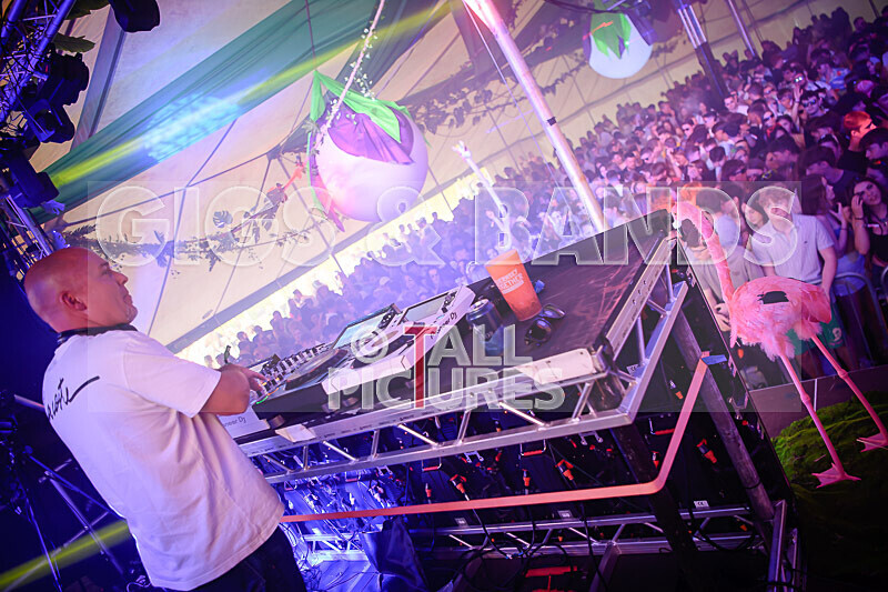 Guernsey Together_Day-1 Atmosphere-28 - GUERNSEY TOGETHER 2023_DAY 1_ATMOSPHERE