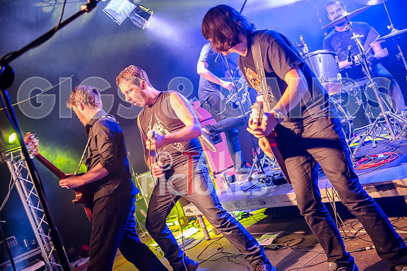 FlashMob-205 - FLASHMOB