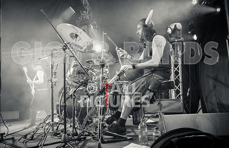 Peppered Ant Legs-222 - PEPPERED ANT LEGS