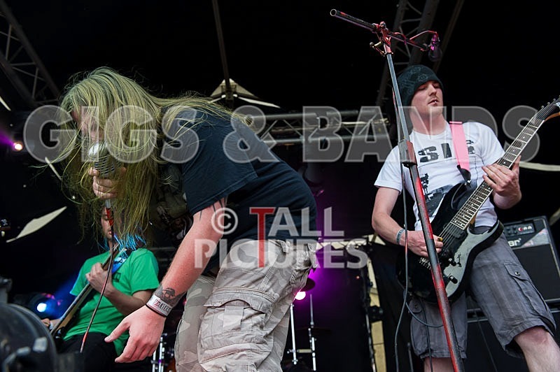 Stone Em All-24 - STONE EM ALL