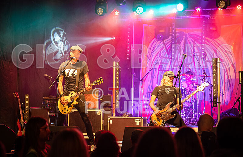 The Electric Shakes-223 - THE ELECTRIC SHAKES