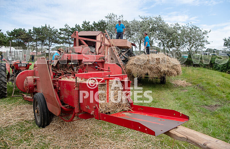 Guernsey Agricultural Show 2021-99 - GUERNSEY AGRICULTURAL SHOW 2021