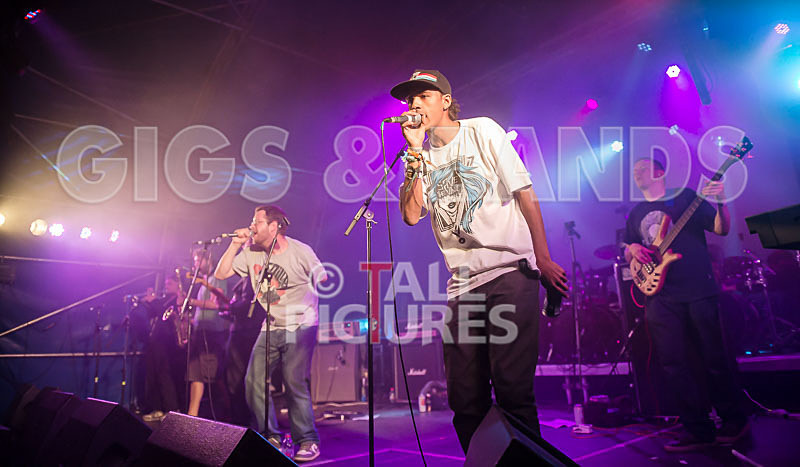 The Mouse Outfit-44 - THE MOUSE OUTFIT