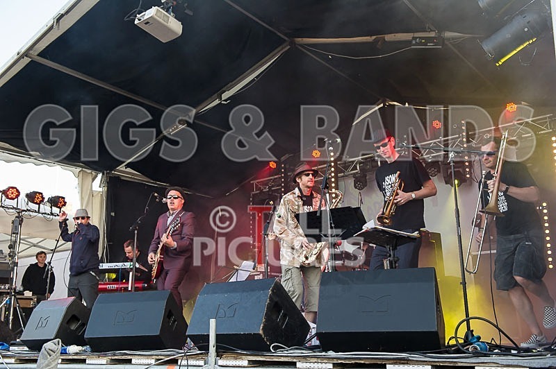 Sons of the Desert-203 - SONS OF THE DESERT