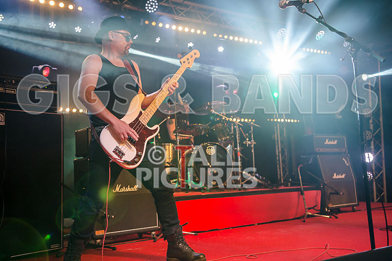 Peppered Ant Legs-229 - PEPPERED ANT LEGS