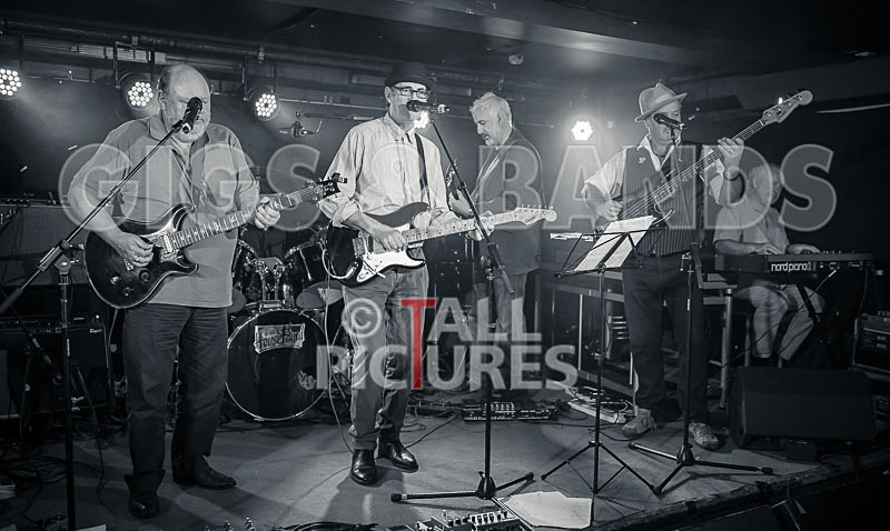 Alfie Bartons 25th Anniversary Gig-48 - ALFIE BARTON'S 25th ANNIVERSARY SPECIAL