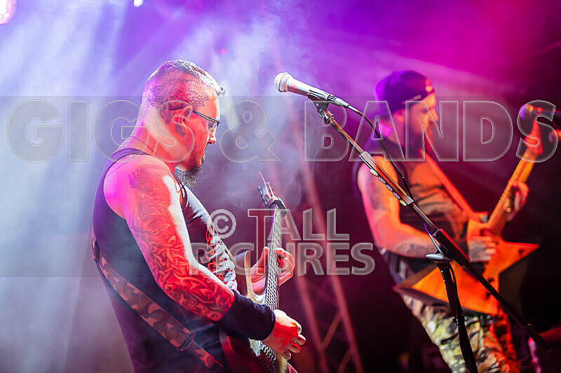 Demise of Sanity-247 - DEMISE OF SANITY