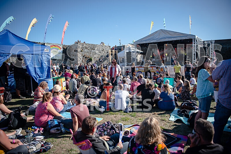 Vale Earth Fair 2020_THE SCENE-3 - VALE EARTH FAIR 2020_THE SCENE