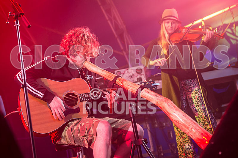 Buffalo Huddleston-215 - BUFFALO HUDDLESTON