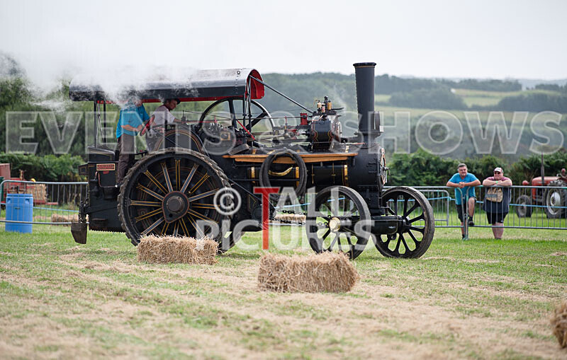 Guernsey Agricultural Show 2021-2 - GUERNSEY AGRICULTURAL SHOW 2021