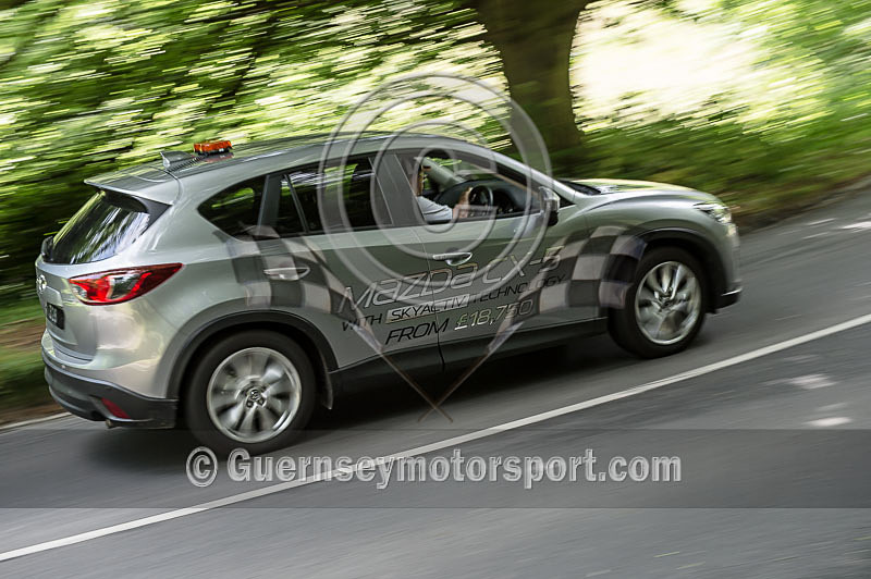 Heritage Charity Hillclimb_2014-250 - HERITAGE CHARITY HILL CLIMB 2014