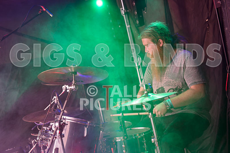 Honest Crooks-50 - HONEST CROOKS