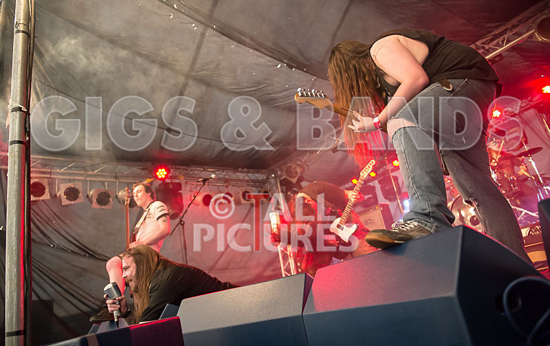 Stone Em All-279 - STONE EM ALL