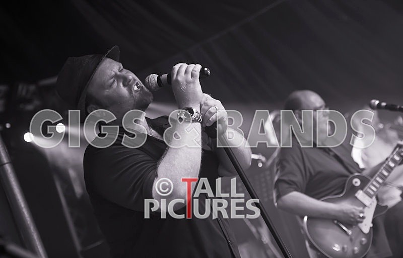 Spoonful-96 - SPOONFUL