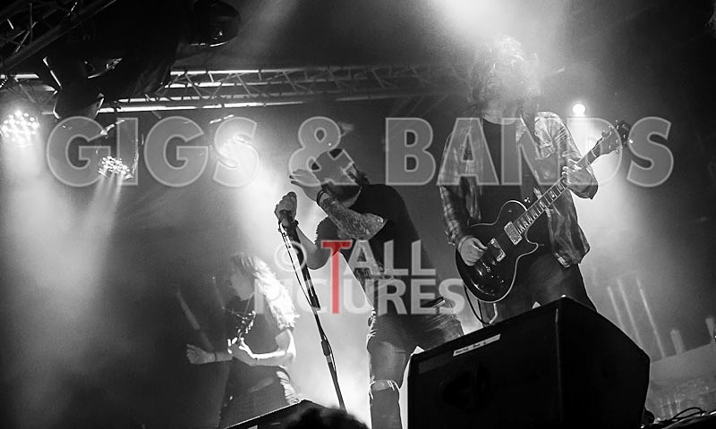 Viking Skull-15 - VIKING SKULL