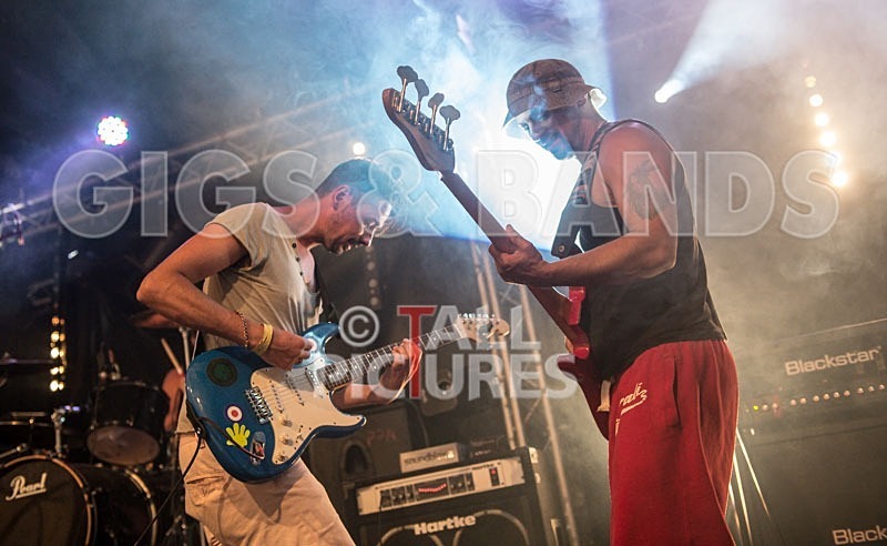 Chaos 2013_Harlequin Knights-27 - HARLEQUIN KNIGHTS