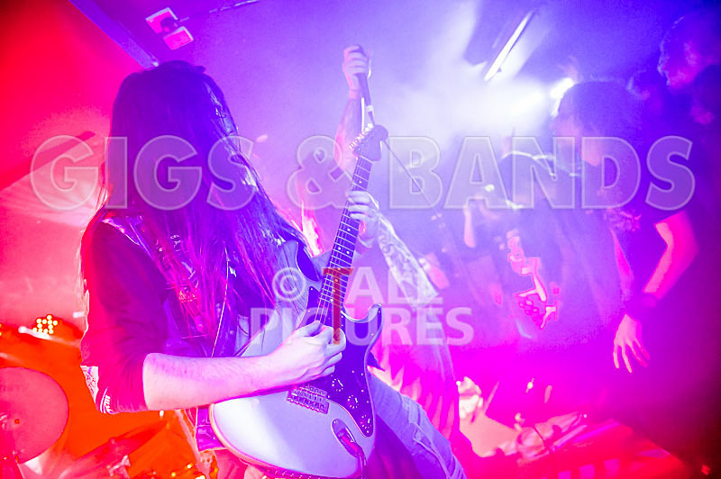 Stone Em All-189 - STONE EM ALL