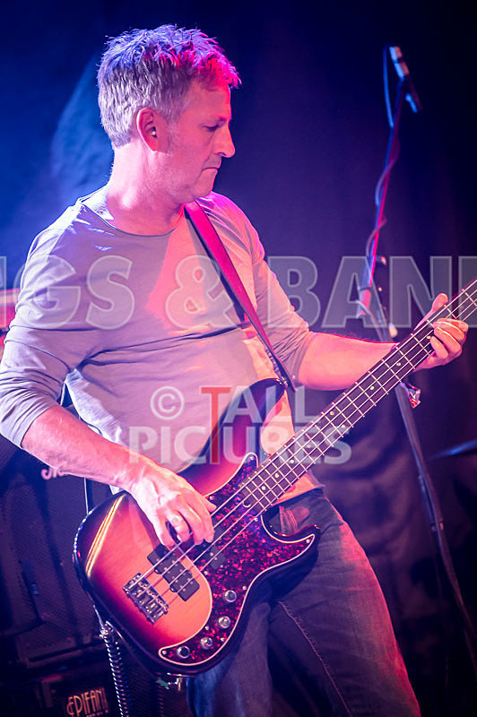 The Sacred Hearts-23 - THE SACRED HEARTS