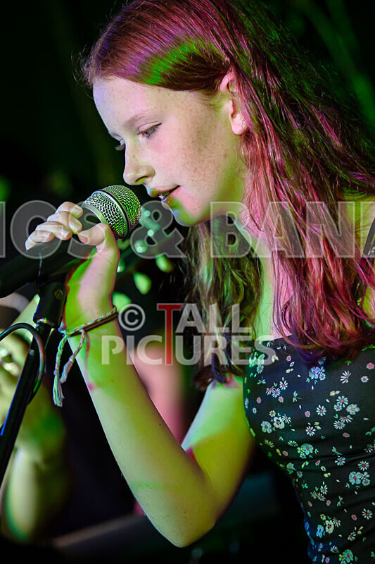 Two Inch Chairs-20 - 2 INCH CHAIRS