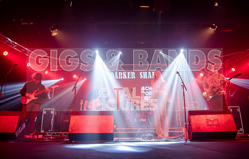 Darker Shade-29 - DARKER SHADE