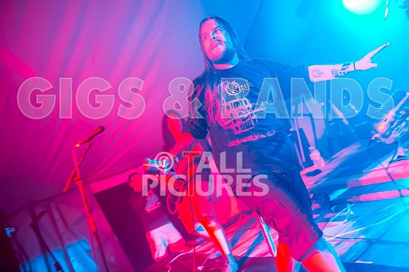 Stone Em All-84 - STONE EM ALL