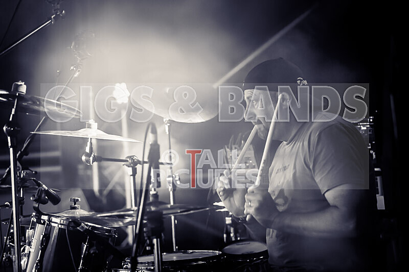 Elysium-336 - ELYSIUM