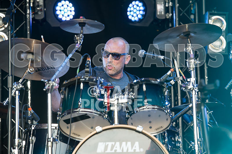 Buffalo Huddleston-380 - BUFFALO HUDDLESTON