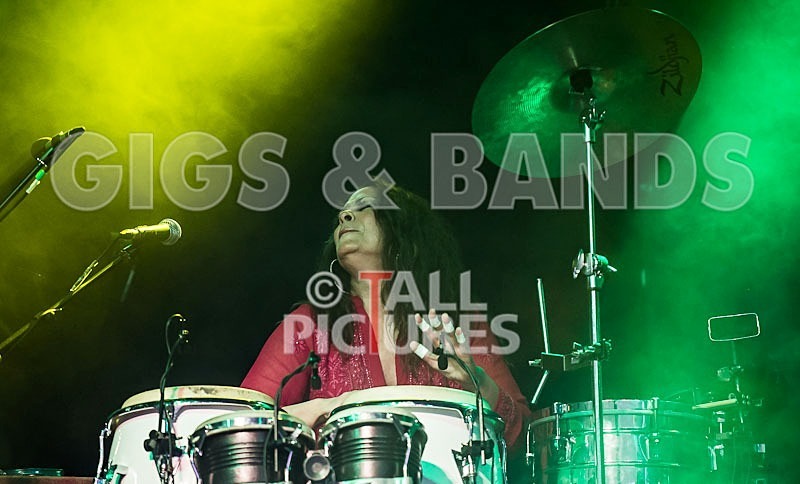 Macy Gray-41 - MACY GRAY