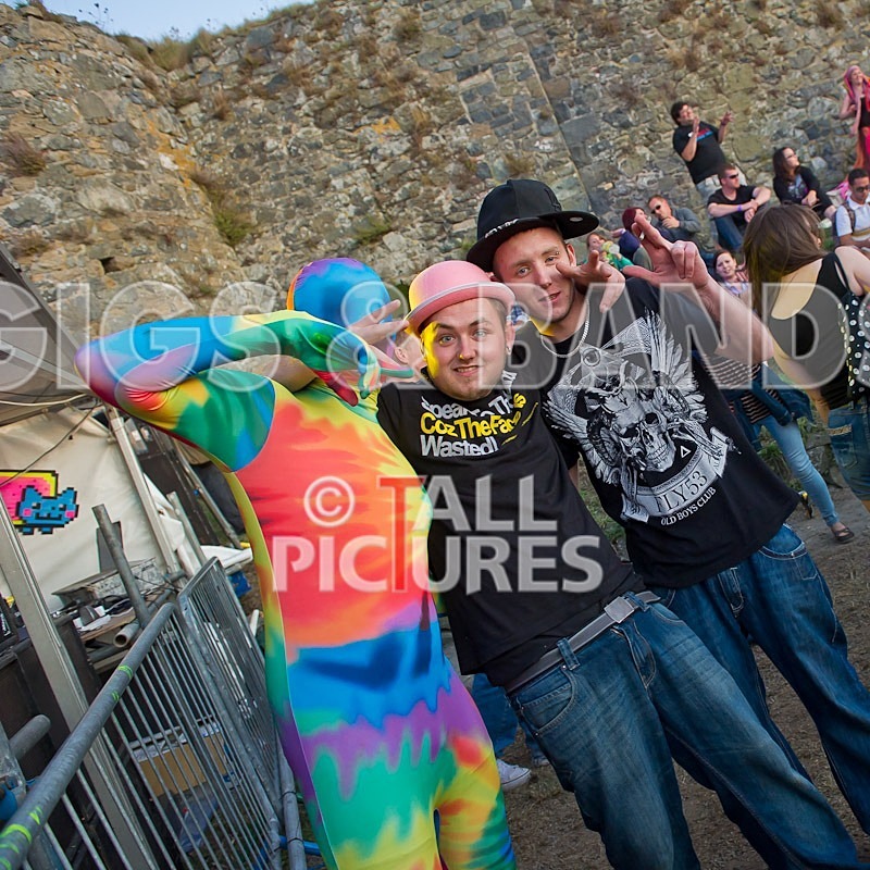 Vale Earth Fair 2011-16 - VALE EARTH FAIR 2011 - SCENE