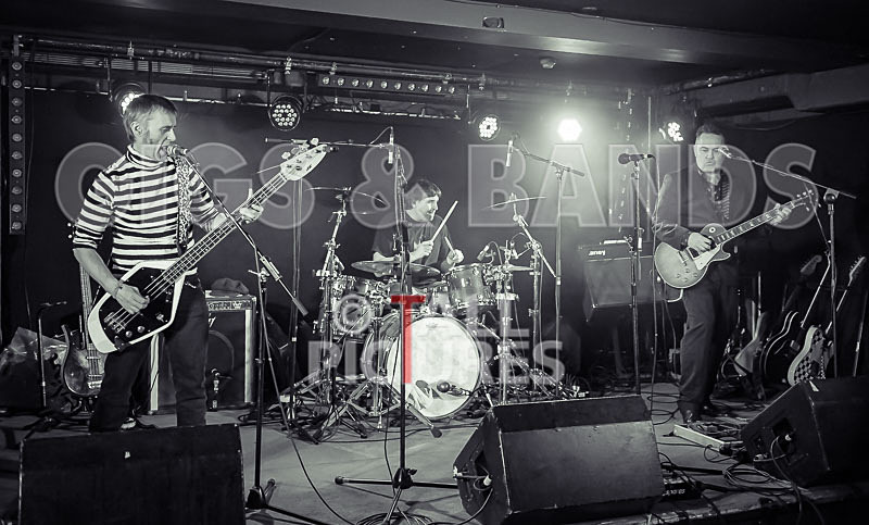 The Risk-265 - THE RISK