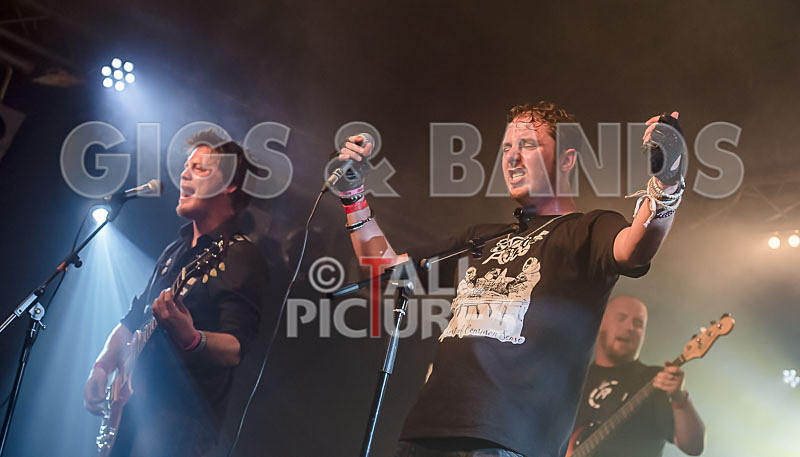 FlashMob-113 - FLASHMOB