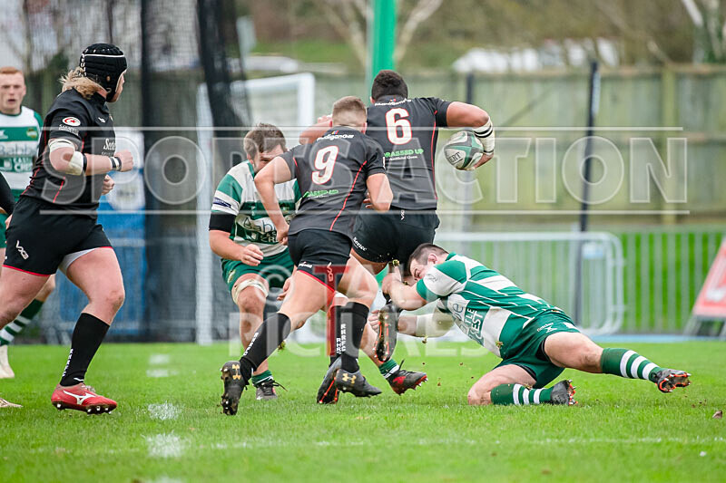 Guernsey Raiders v Rochford Hundred-18 - GUERNSEY RAIDERS v ROCHFORD HUNDRED