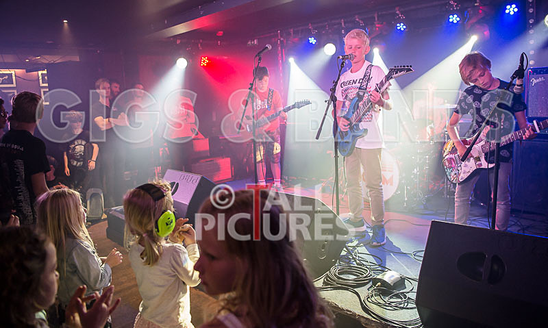 The Lemmings-22 - THE LEMMINGS