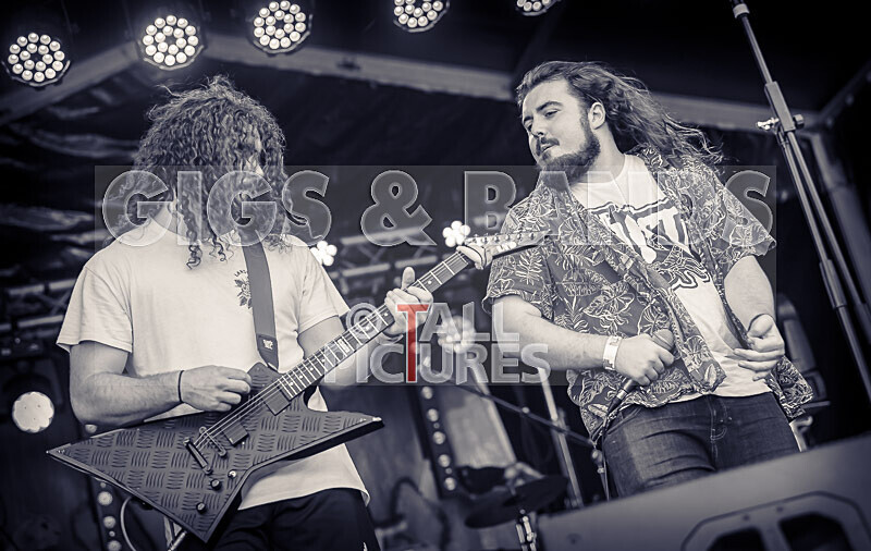 The Dust-8 - THE DUST