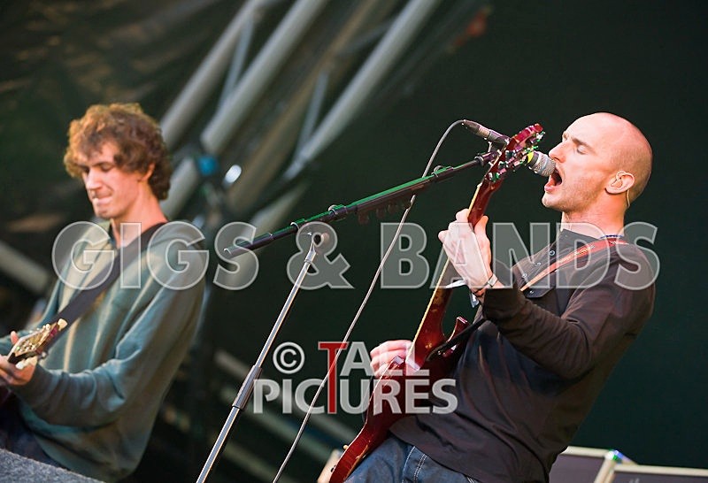 The Music-8 - THE MUSIC