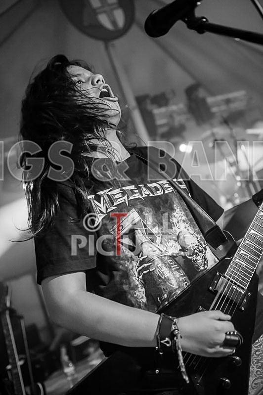 Stone Em All-105 - STONE EM ALL