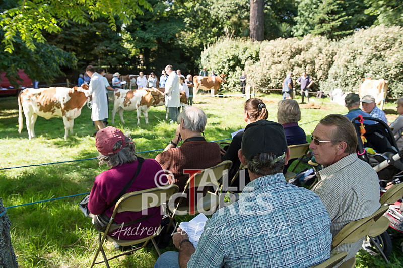 North Show_2014-6 - NORTH SHOW 2014
